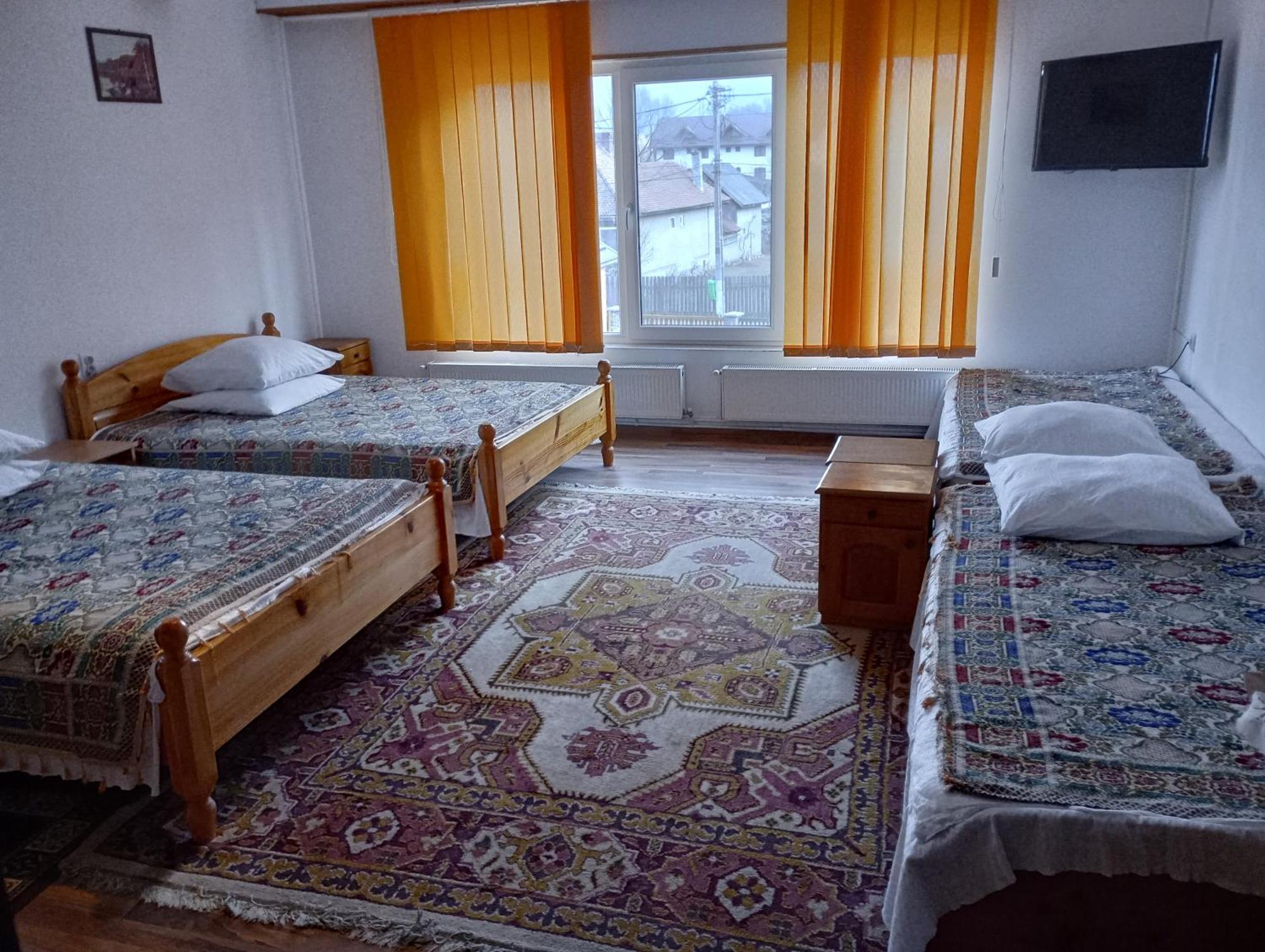 Pensiunea Irina 1 Si 2 Zărneşti Extérieur photo