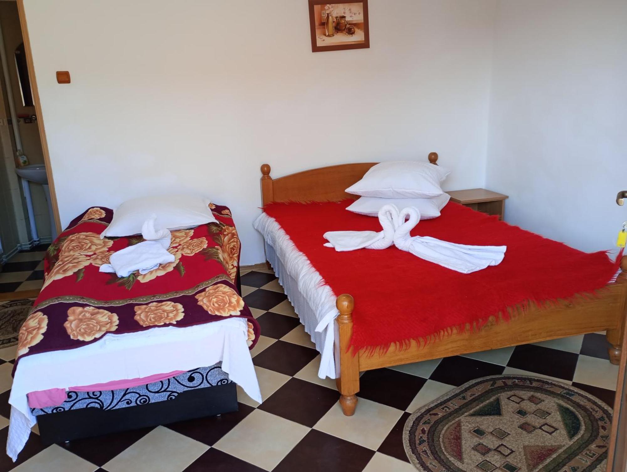 Pensiunea Irina 1 Si 2 Zărneşti Extérieur photo