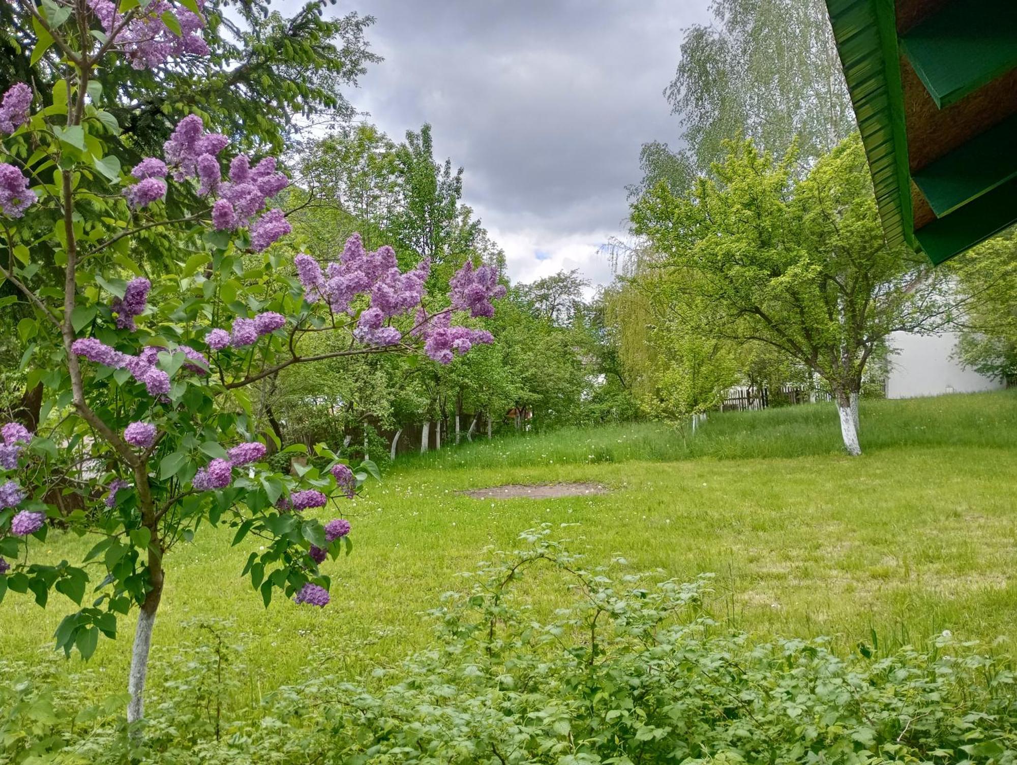 Pensiunea Irina 1 Si 2 Zărneşti Extérieur photo