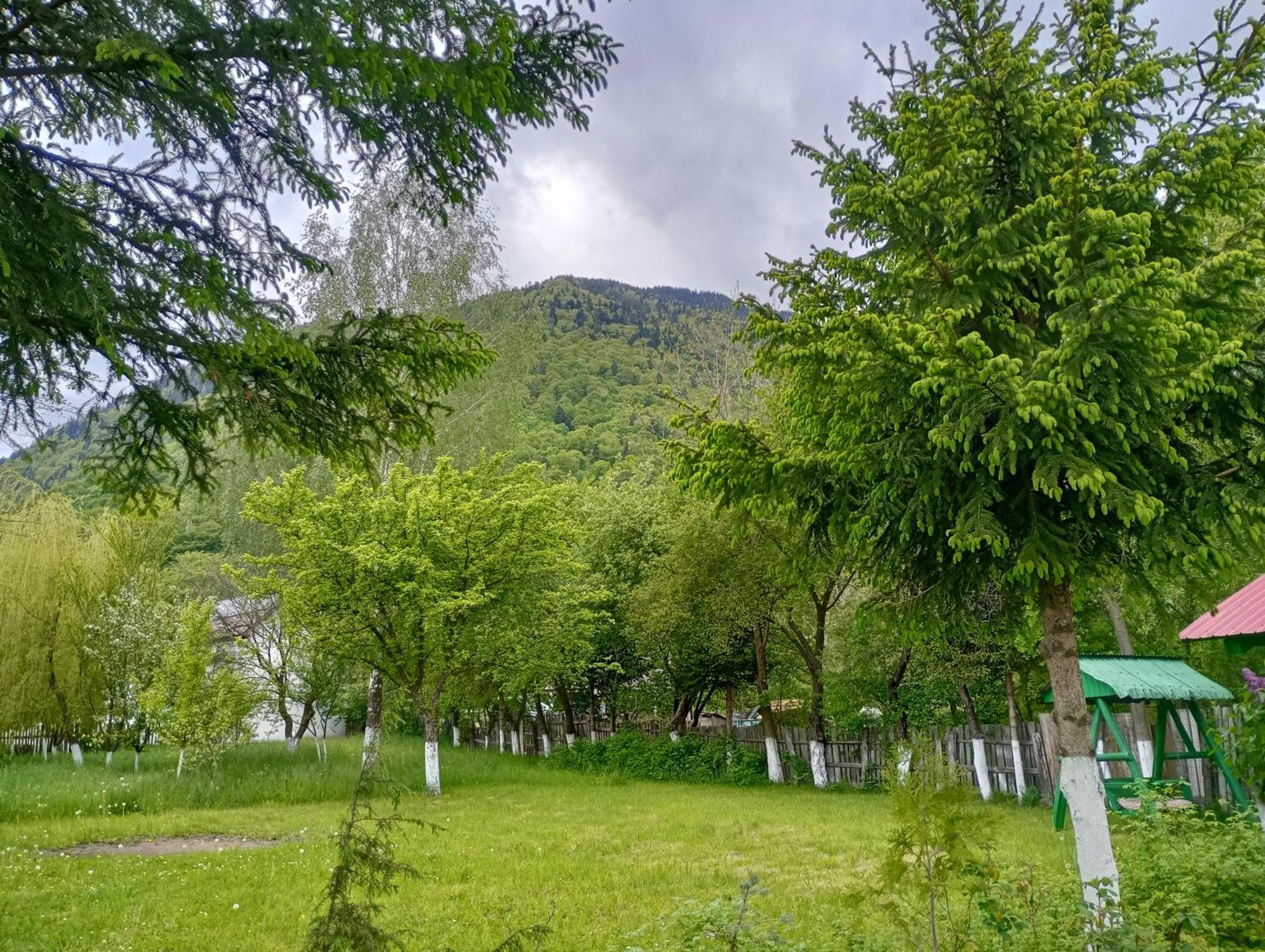 Pensiunea Irina 1 Si 2 Zărneşti Extérieur photo