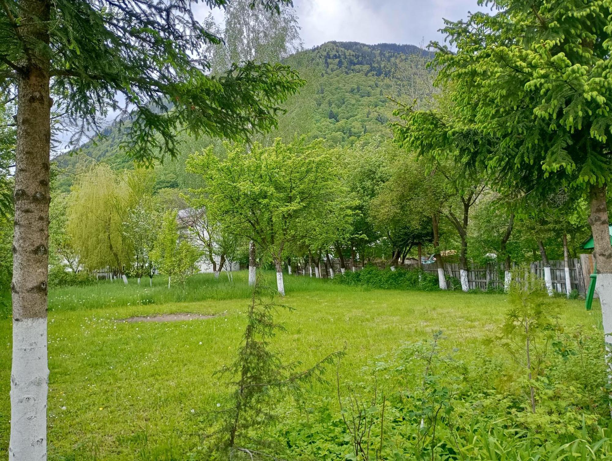 Pensiunea Irina 1 Si 2 Zărneşti Extérieur photo